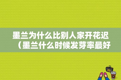 墨兰为什么比别人家开花迟（墨兰什么时候发芽率最好最高）